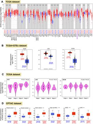 A pan-cancer analysis of the expression and molecular mechanism of DHX9 in human cancers